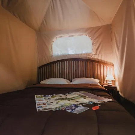 Porte Des Alpilles By M.a Destination Glamping Lüks kamp alanı *