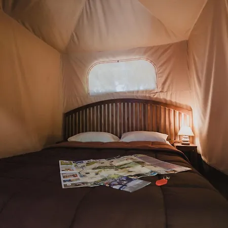Lüks kamp alanı Porte Des Alpilles By M.a Destination Glamping Saint-Étienne-du-Grès